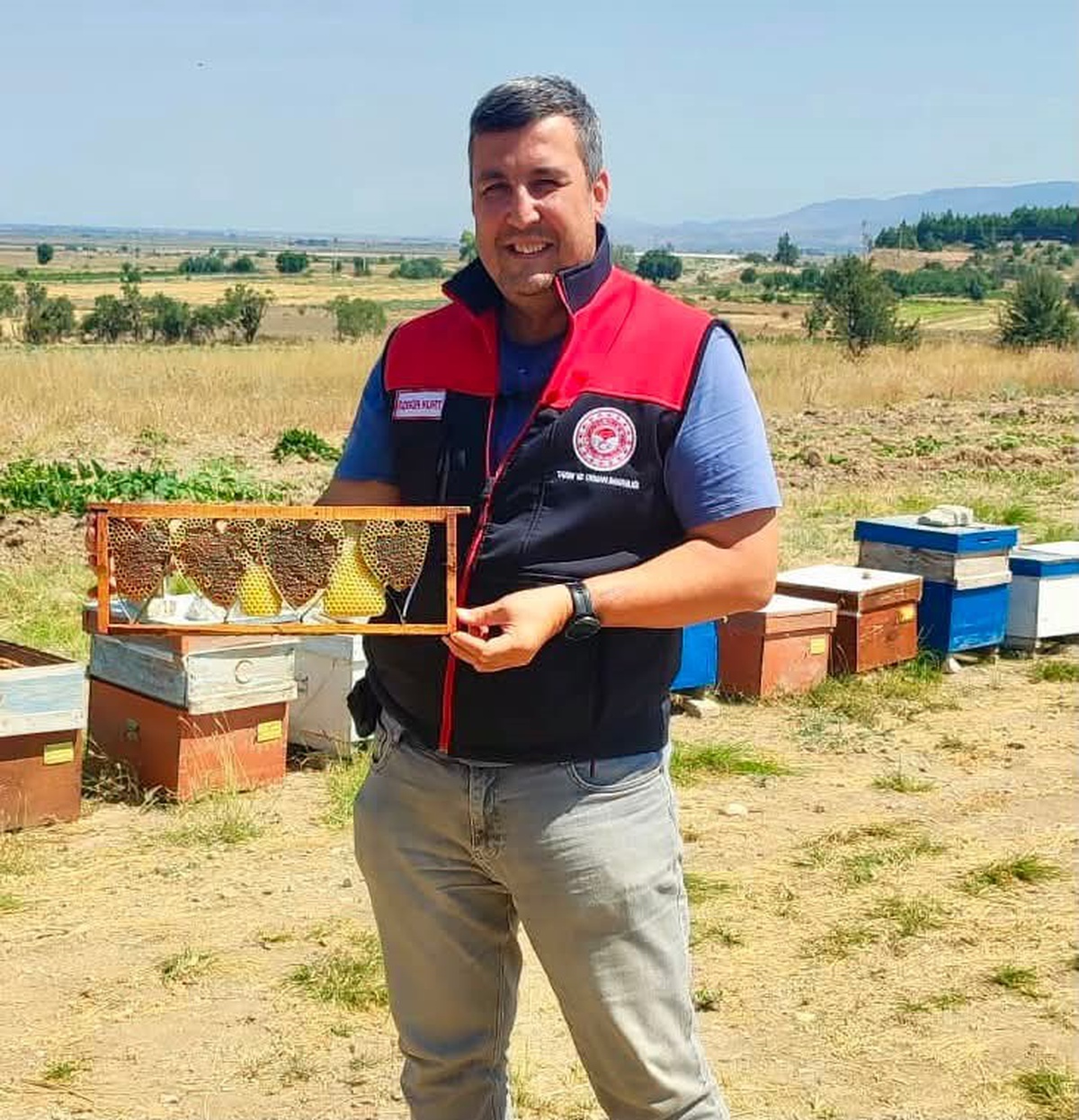 Kalp Şeklindeki Bal Peteği İlgi Çekti
