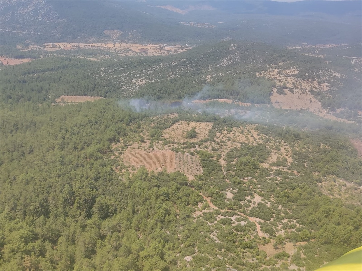 Menteşe\'de Orman Yangını Kontrol Altına Alındı