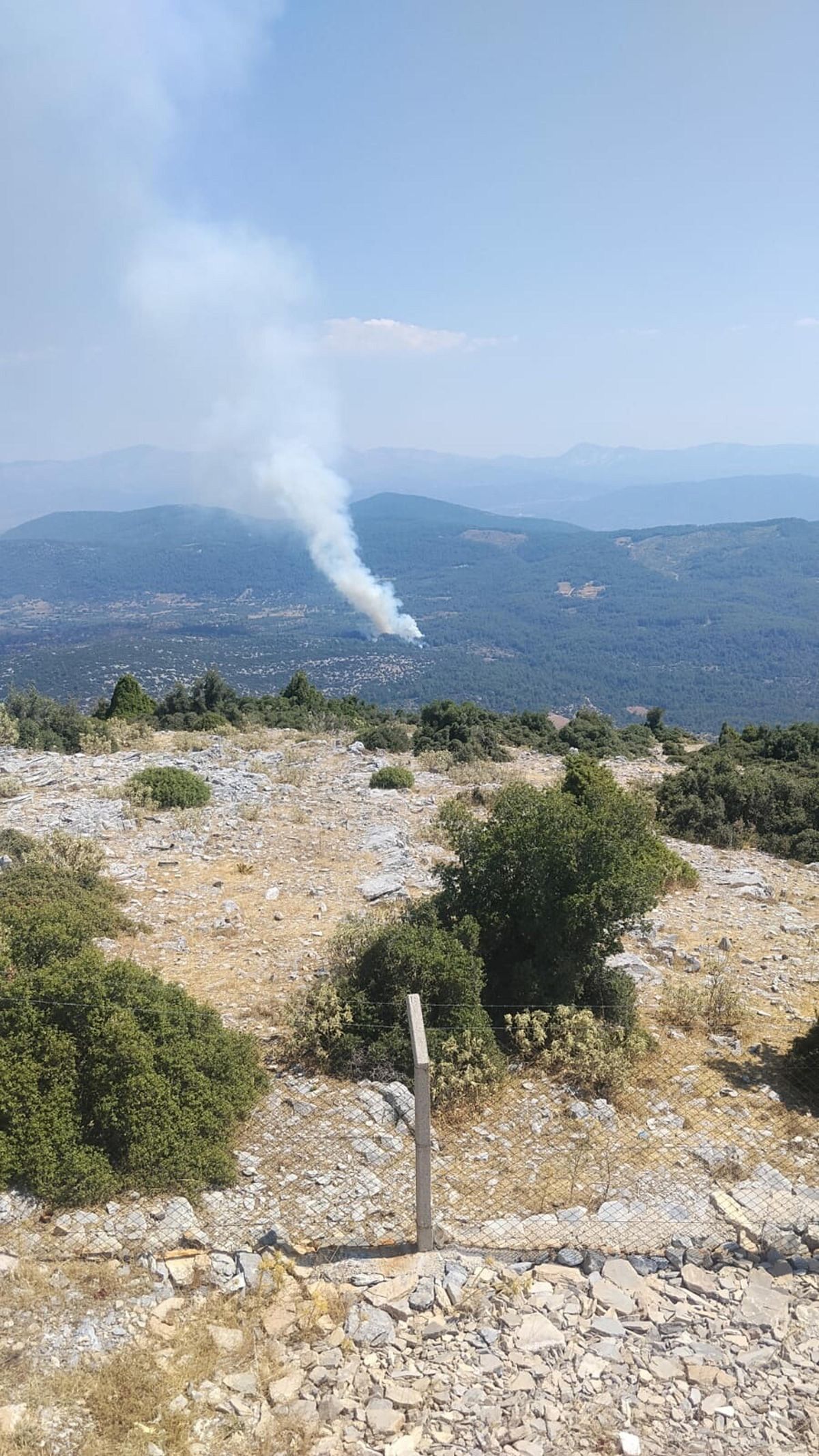 Menteşe\'de Orman Yangını