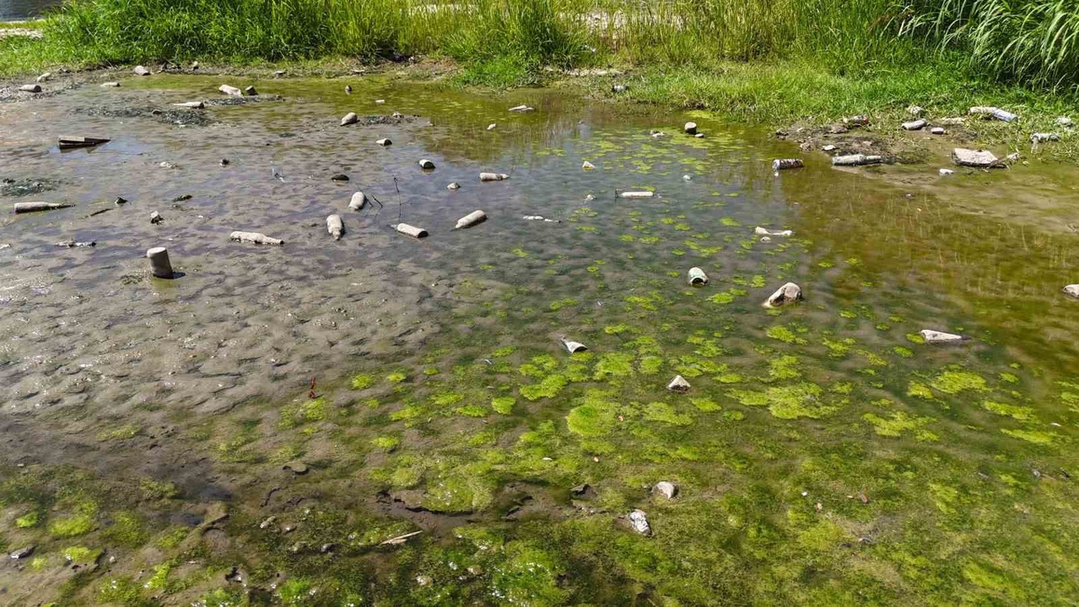 Tunca Nehri\'nde Su Seviyesi Tehlikeli Düzeyde Azaldı
