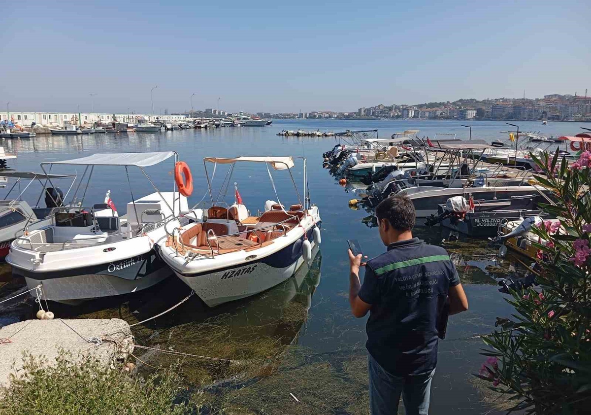 Yalova’da atık suları arıtmadan deşarj eden belediyeye 7,9 milyon lira ceza