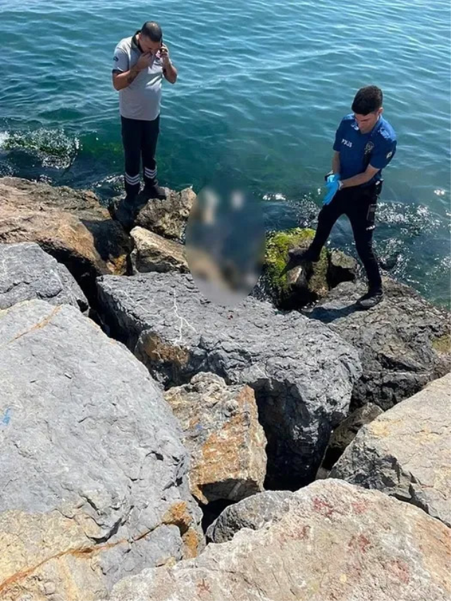 3 kardeşin sır ölümünde kahreden detay! Meğer 5’inci kardeşleri de…