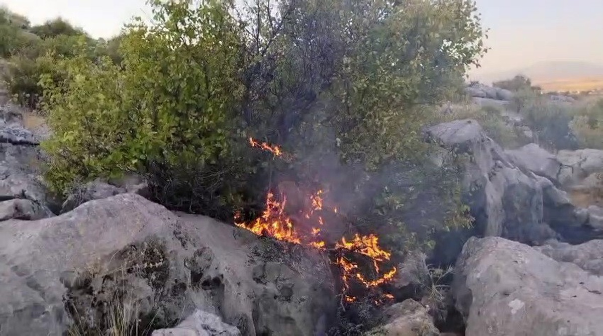 Besni\'de Anız Yangını Ormanı Tehdit Etti