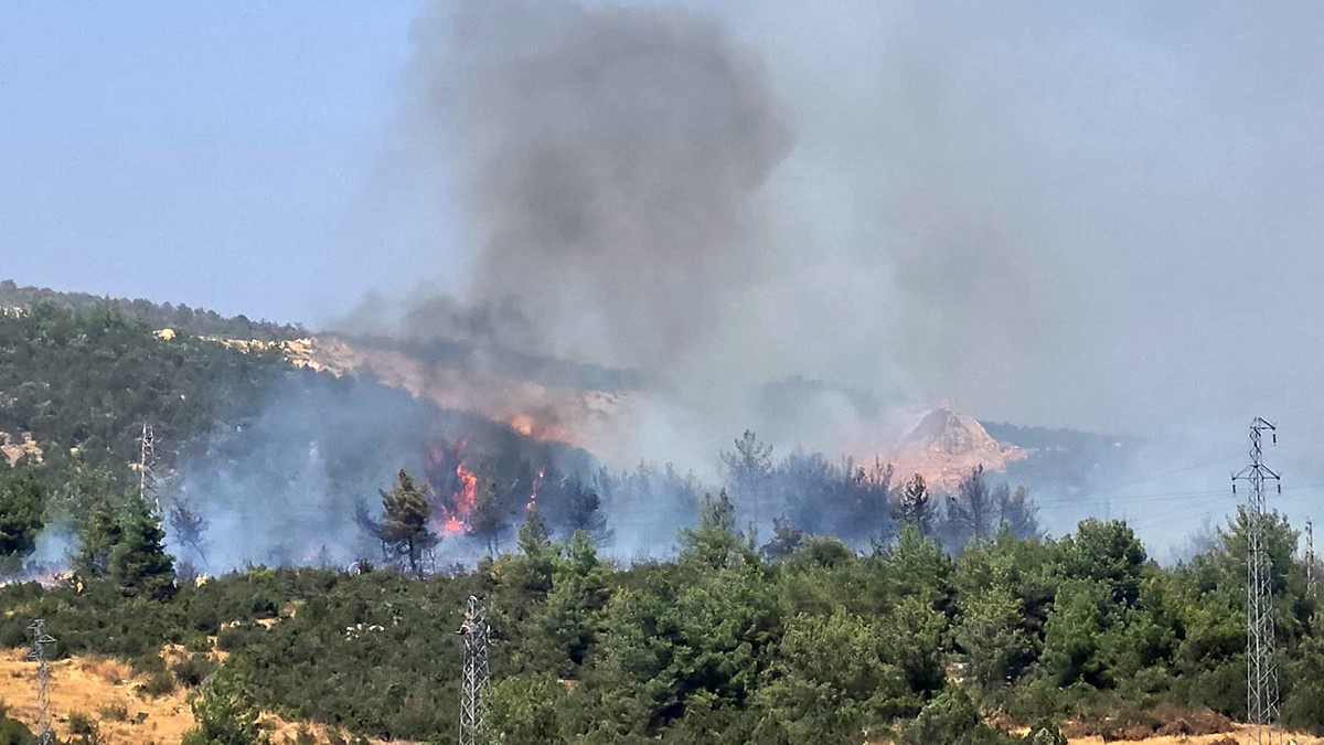 Bilecik\'te Orman Yangınına Müdahale