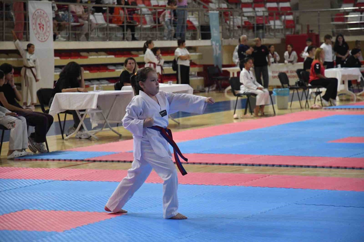 Eskişehir'de 2. Poomsae Turnuvası Heyecanı