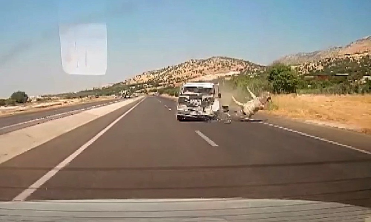 Kamyonet Eşeğe Çarptı: Kazanın Anı Kamerada