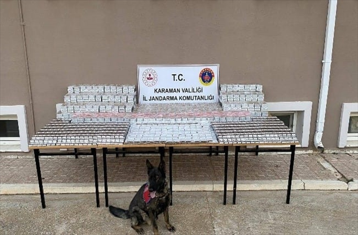 Karaman\'da 48 Suçlu Gözaltına Alındı