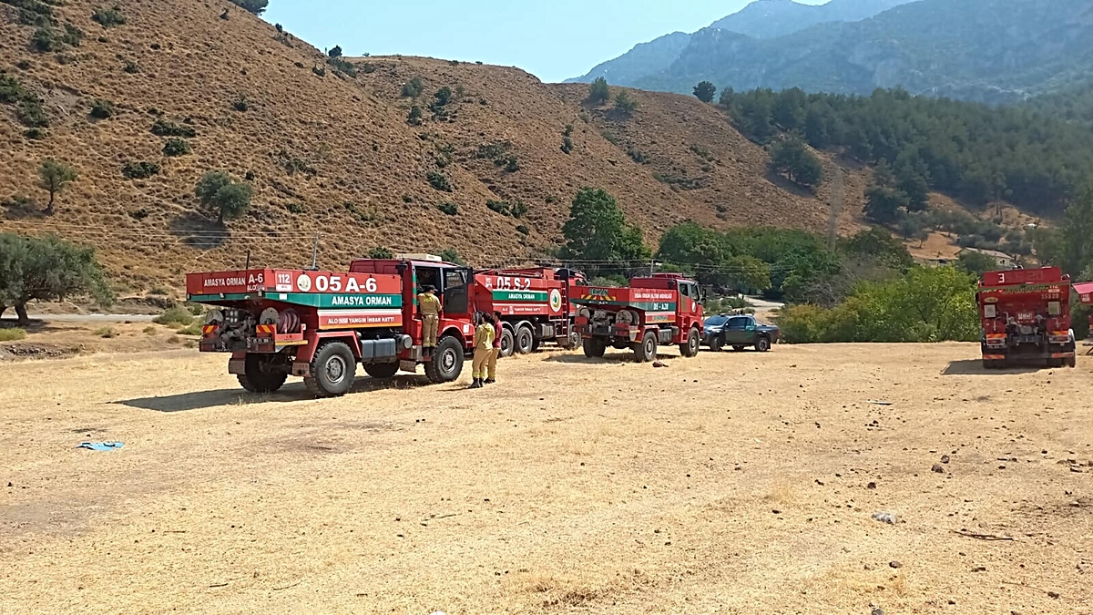 Manisa\'da Orman Yangını