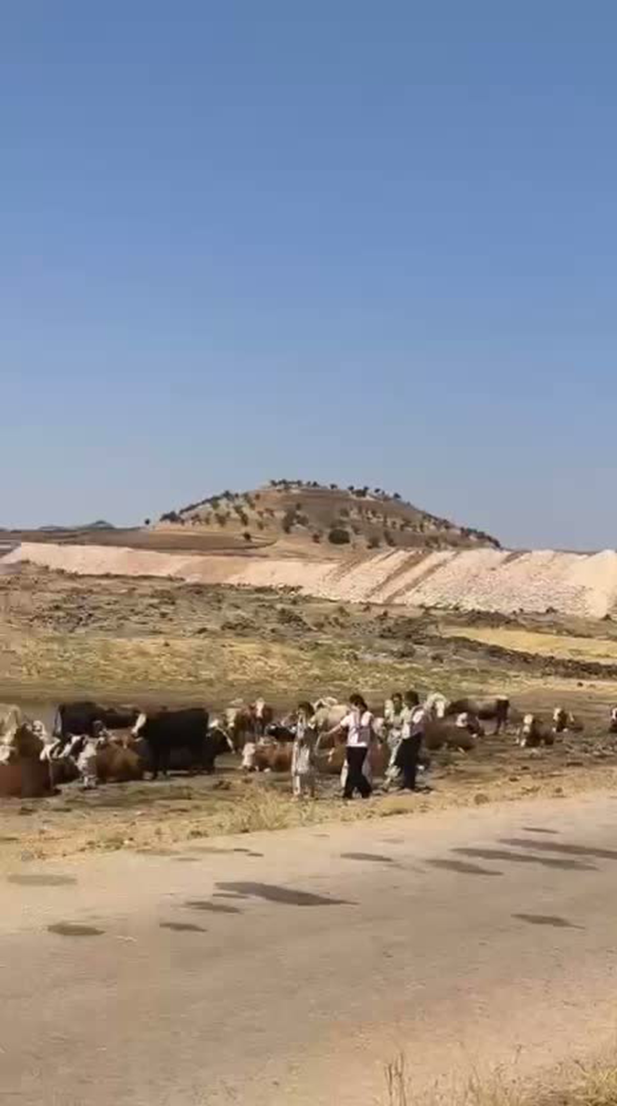 Mardin\'de köylüler GES\'e karşı: \'Mera elimizden alınmasın\'