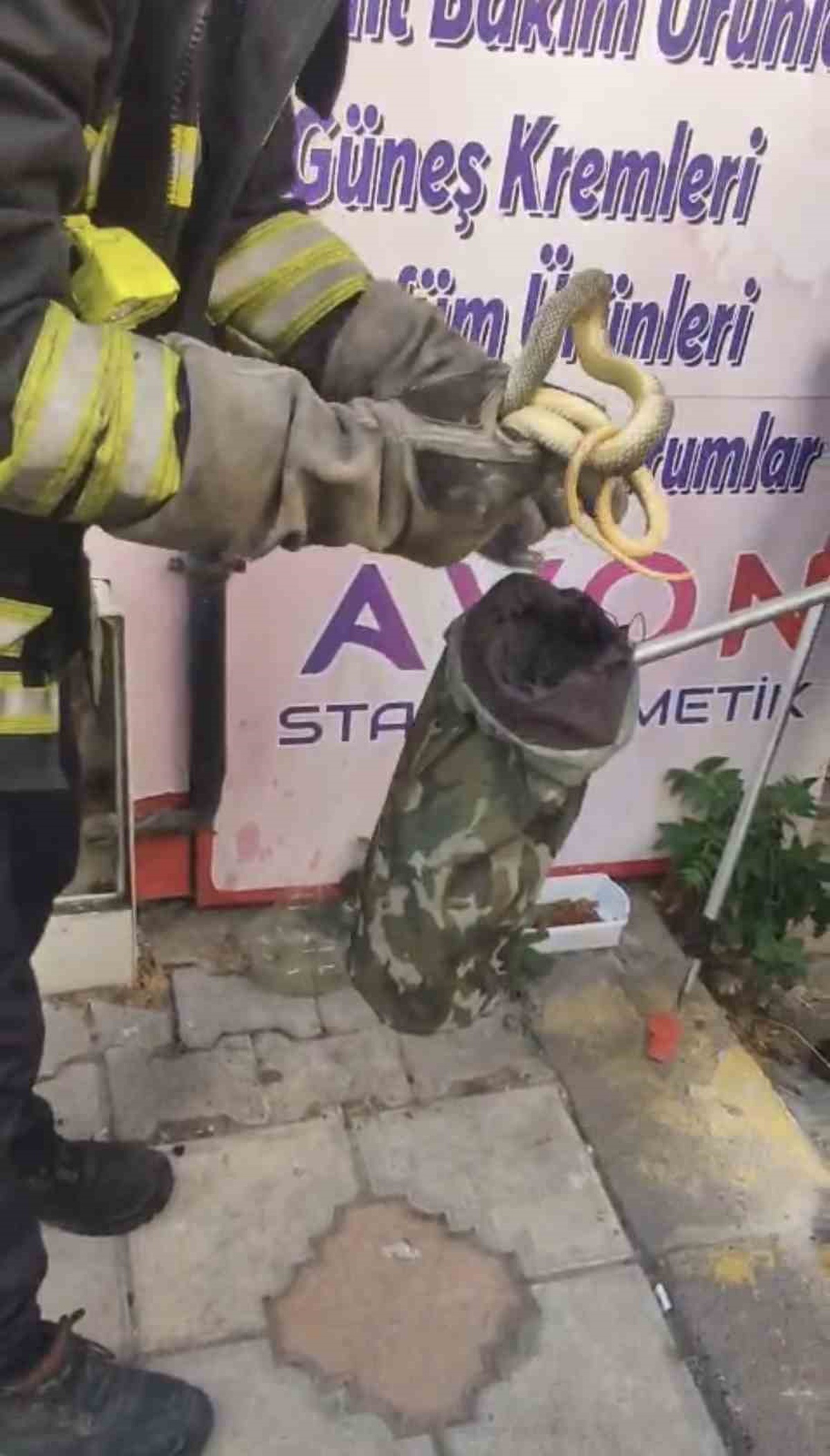 Kedinin fark ettiği yılan itfaiyeden kurtarıldı