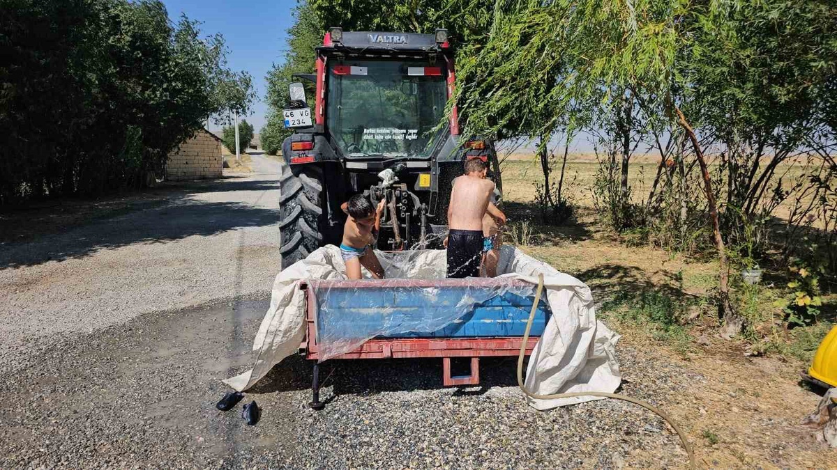 Traktör Sepetinde Yaz Eğlencesi