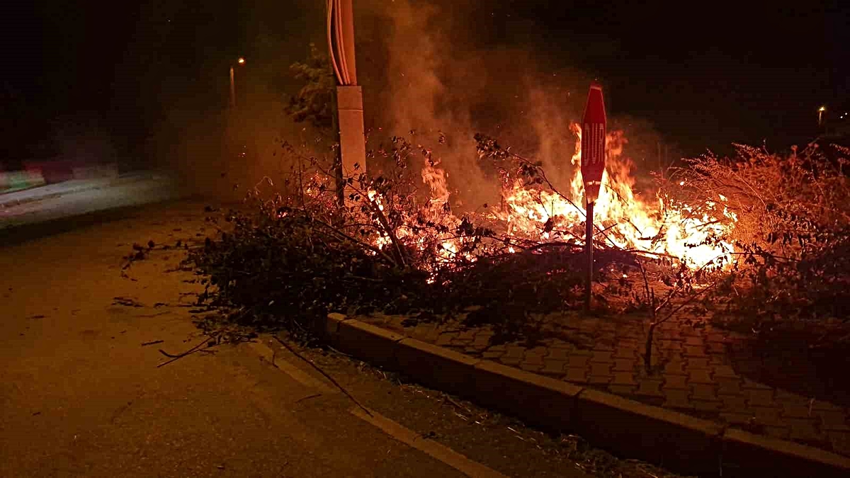 Alaca’da çıkan örtü yangını söndürüldü