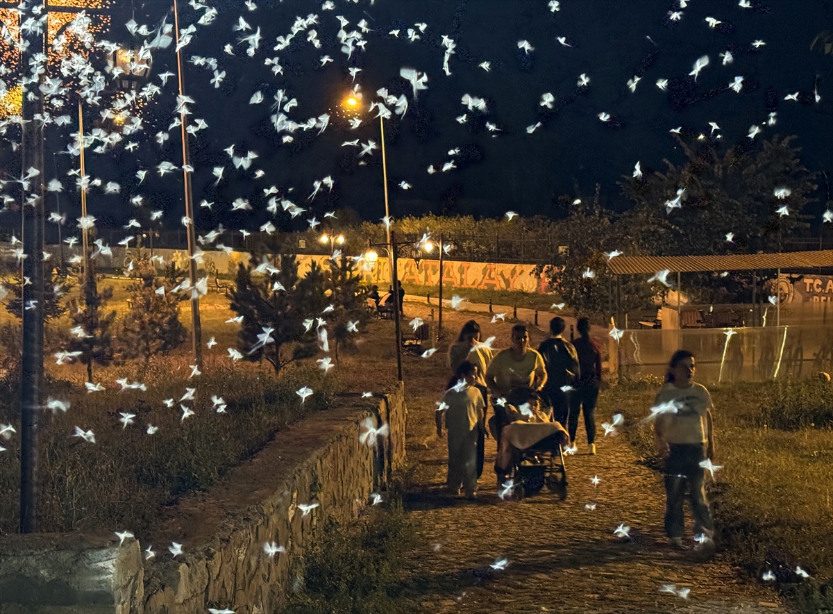 Ardahan'da 'Ölüm Dansı' Başladı