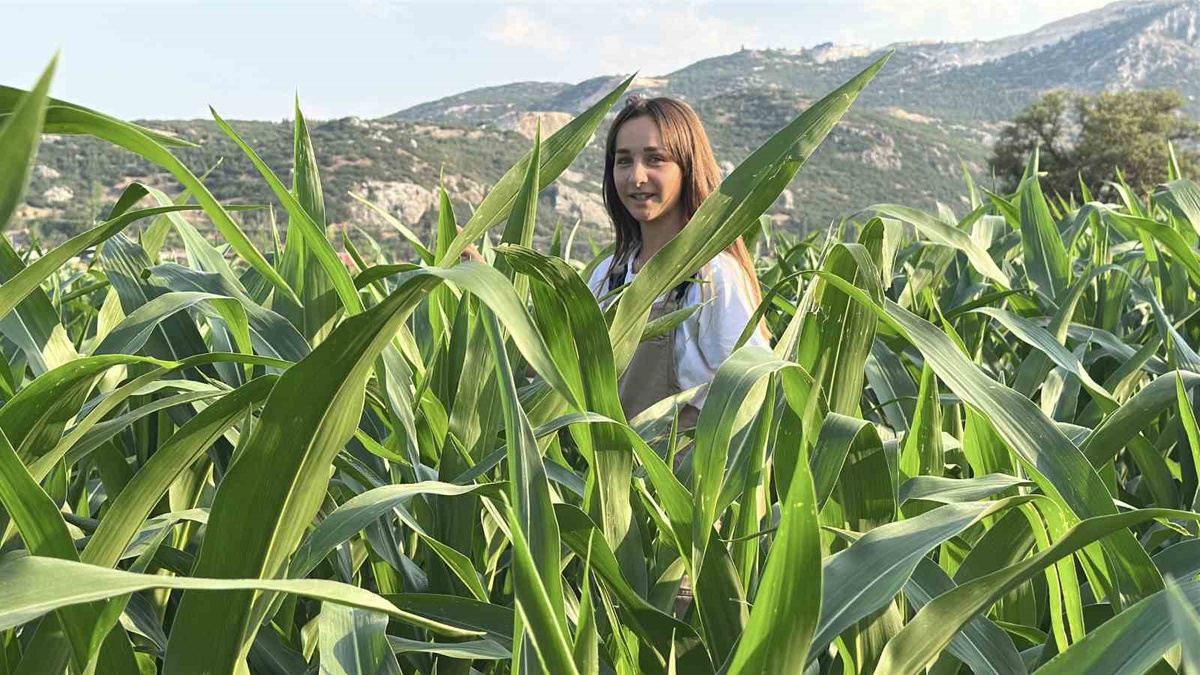 Genç Çiftçi Emine Kaya\'nın Azmi