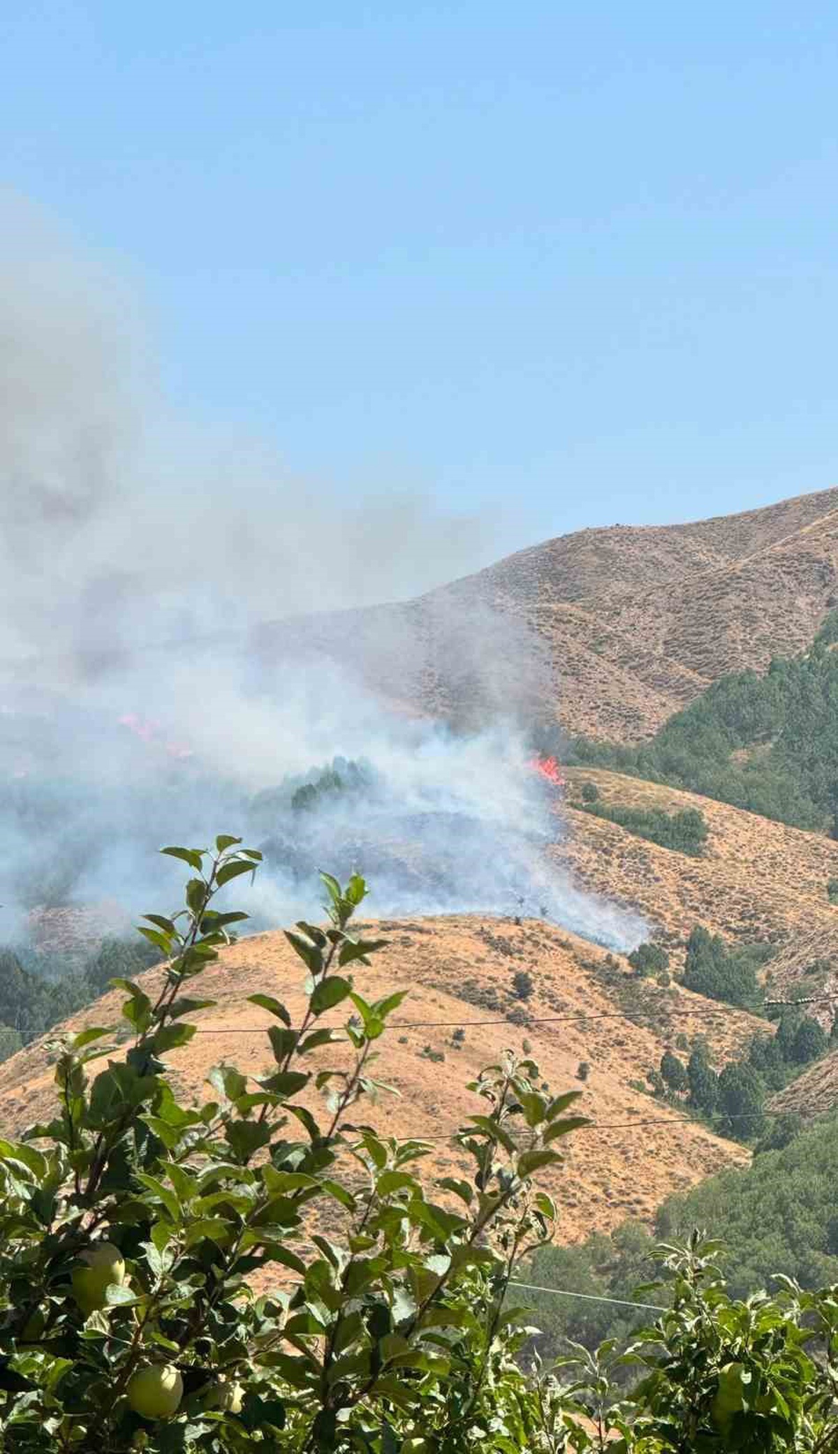 Bingöl'de Yangın Söndürme Çalışmaları Devam Ediyor