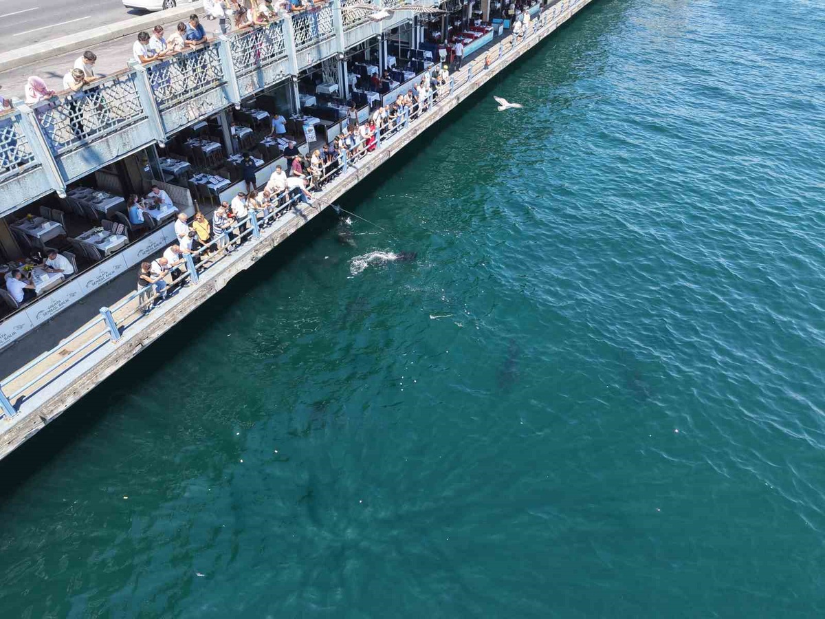 Eminönü\'nde Dev Orkinos Heyecanı