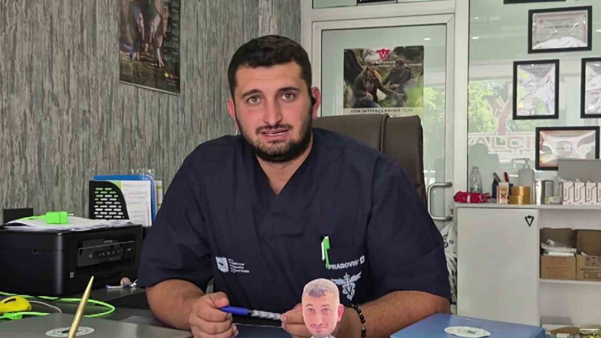 Gebe İnek Vinçle Kurtarıldı