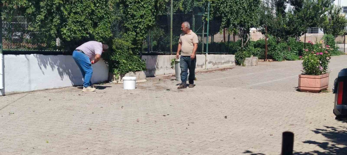 Adıyaman Lisesi\'nde Yaz Bakım Çalışmaları