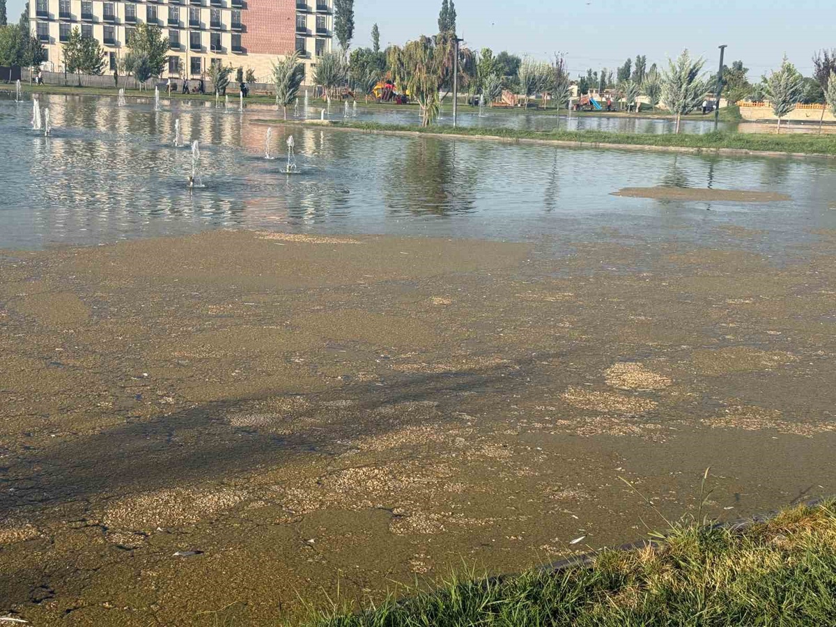 Iğdır Millet Bahçesi\'nde Kirlilik Tepkisi