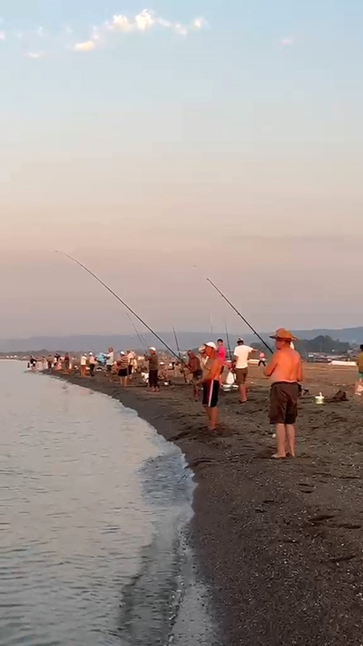 Karacabey\'de İstavrit Bolluğu