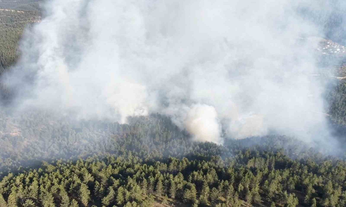 Taşköprü'de Orman Yangını Kontrol Altına Alındı