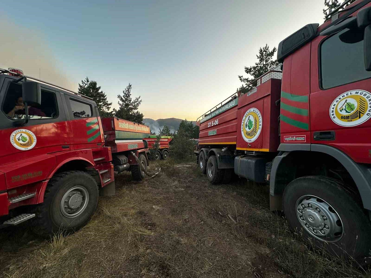 Kastamonu'da Orman Yangını Kontrol Altında