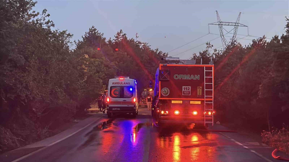 Gebze'de orman yangını kontrol altında