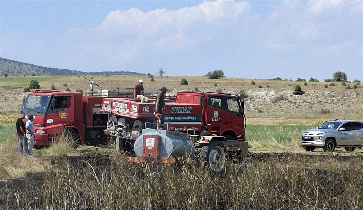 Beyşehir'de İki Yangın Kontrol Altına Alındı
