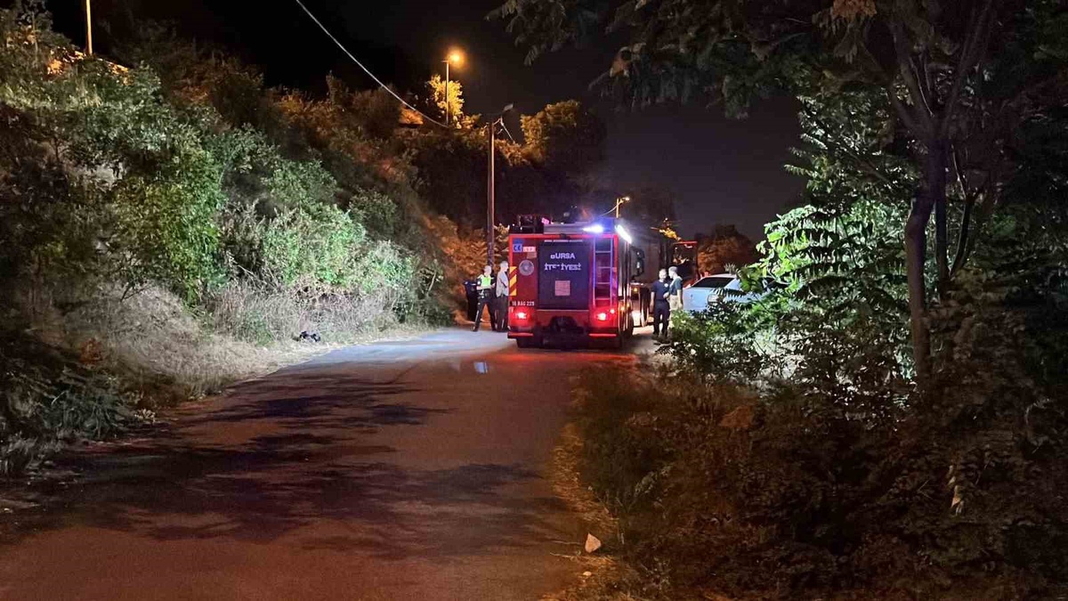 Alkollü Sürücü 50 Metre Uçurumdan Düştü