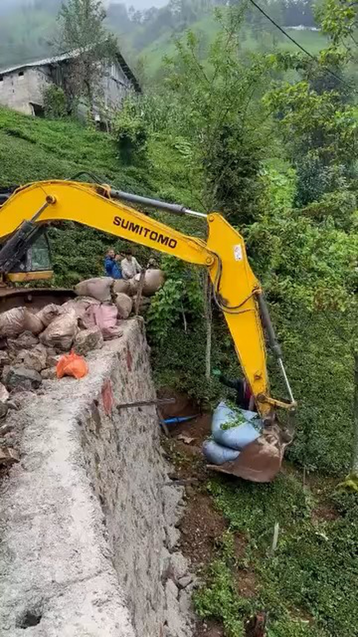 Rize\'de Çay Hasadı İçin İş Makinesi Kullanıldı