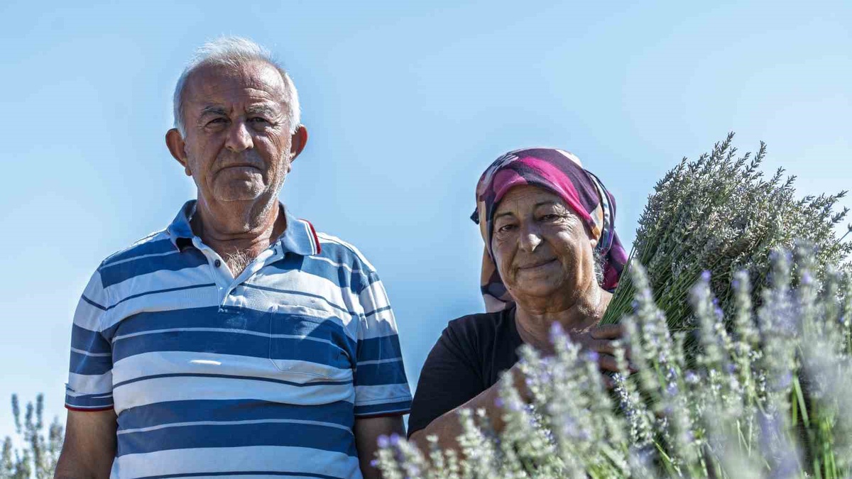 Lavanta Üreticisi Çift Destek Bekliyor