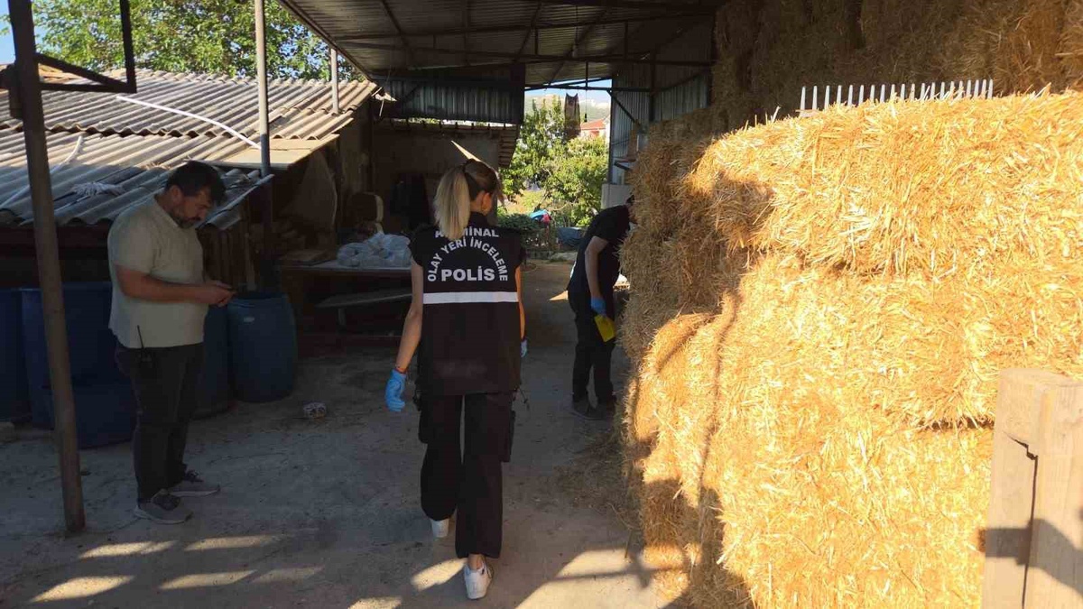 Orhangazi'de Çiftlikte Silahlı Saldırı