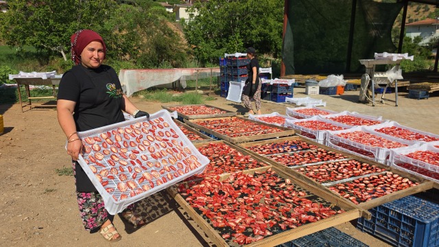 Aydın'dan dünyaya yayılan lezzet: İncir Cipsi