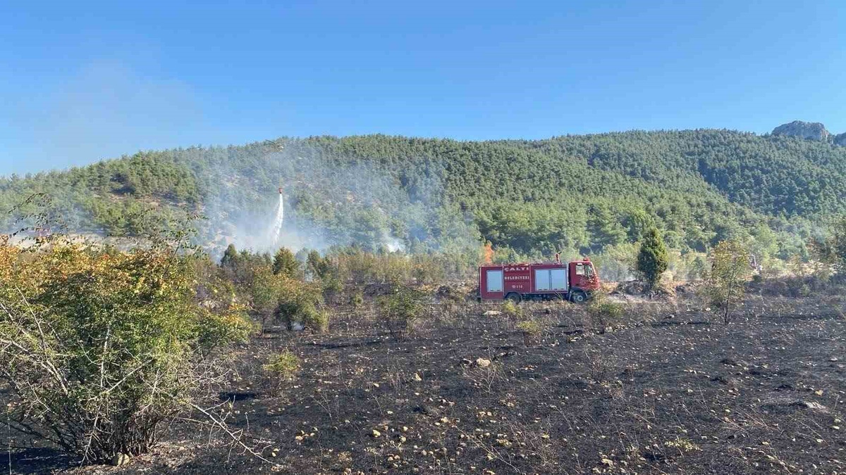 Bilecik'te Tarla Yangını Kontrol Altına Alındı