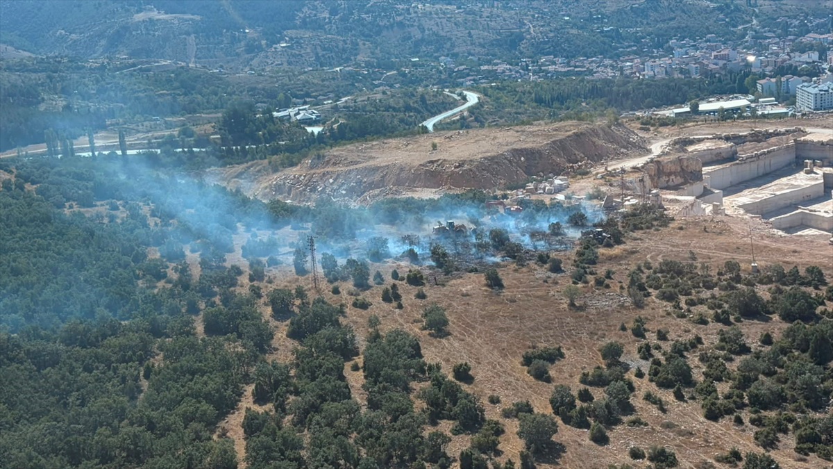 Söğüt'te Orman Yangını Kontrol Altına Alındı