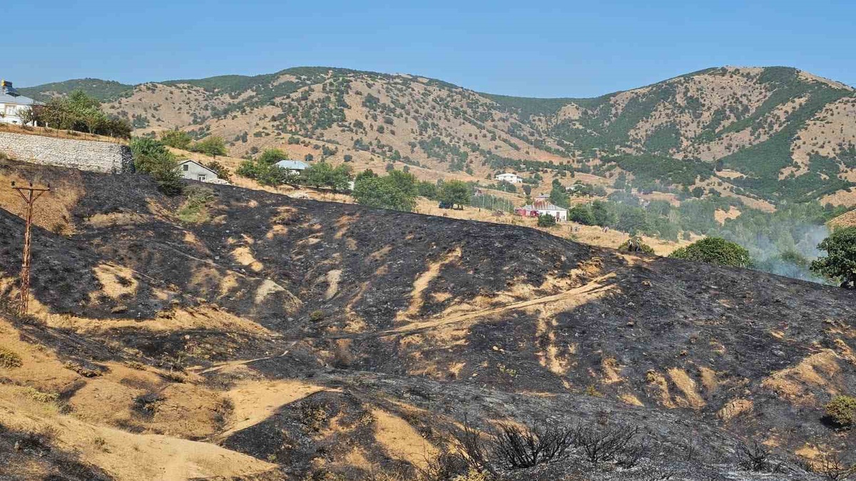 Bingöl'de Kırsal Yangın Kontrol Altına Alındı