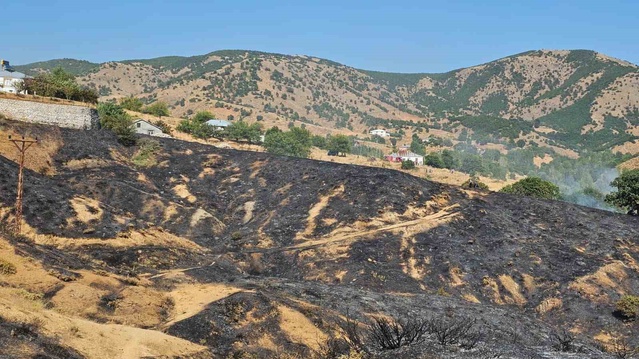 Bingöl'de Kırsal Yangın Kontrol Altına Alındı