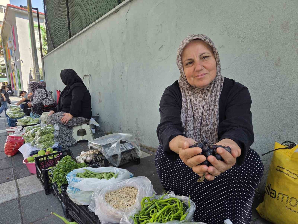 Samsun'da Bamya Sezonu Başladı