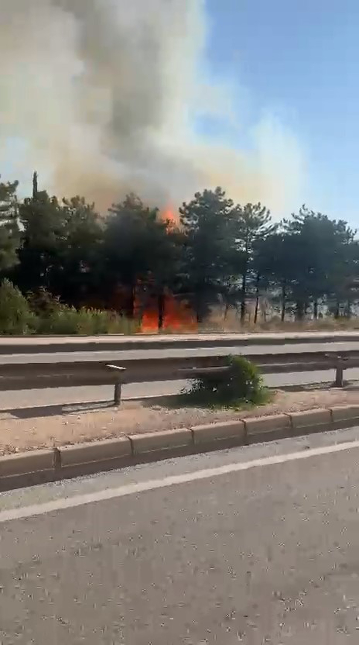 Bursa Kestel'de İki Orman Yangını