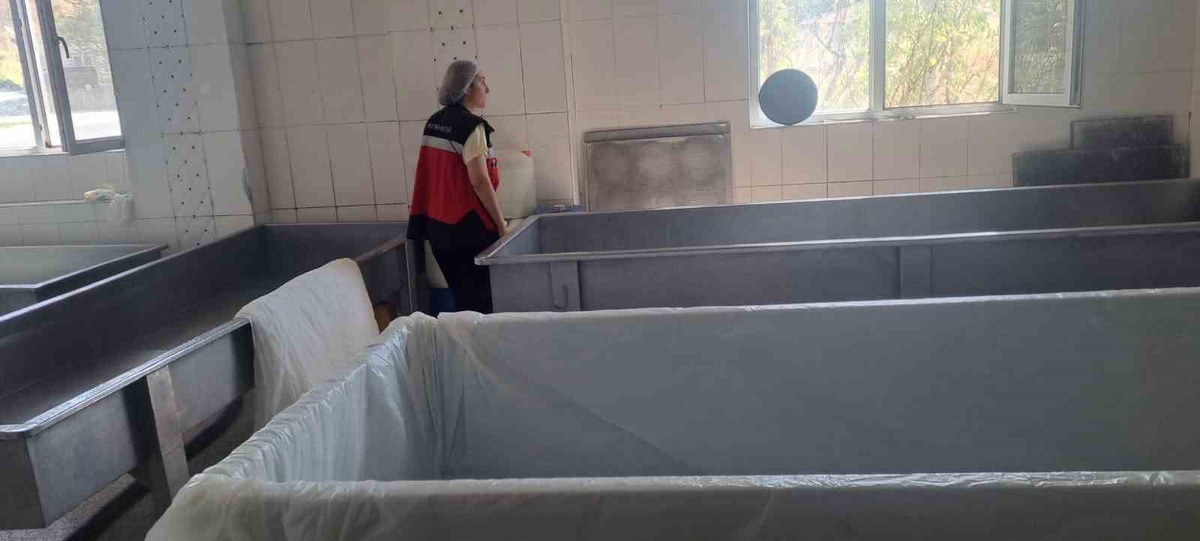 Gıda Güvenliği İçin Denetimler