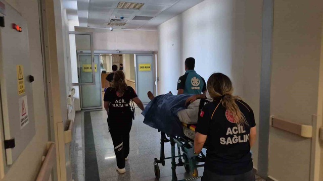 İncir Toplarken Düştü