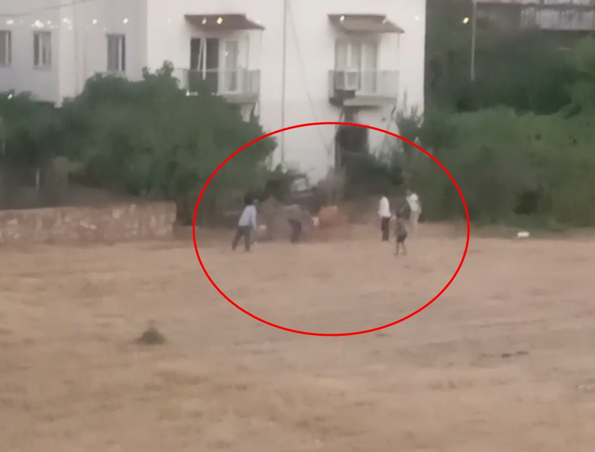 İneğin Peşinden Koşan Sahibi Düştü