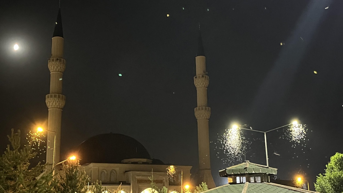 Ardahan'da Kelebeklerin Ölüm Dansı