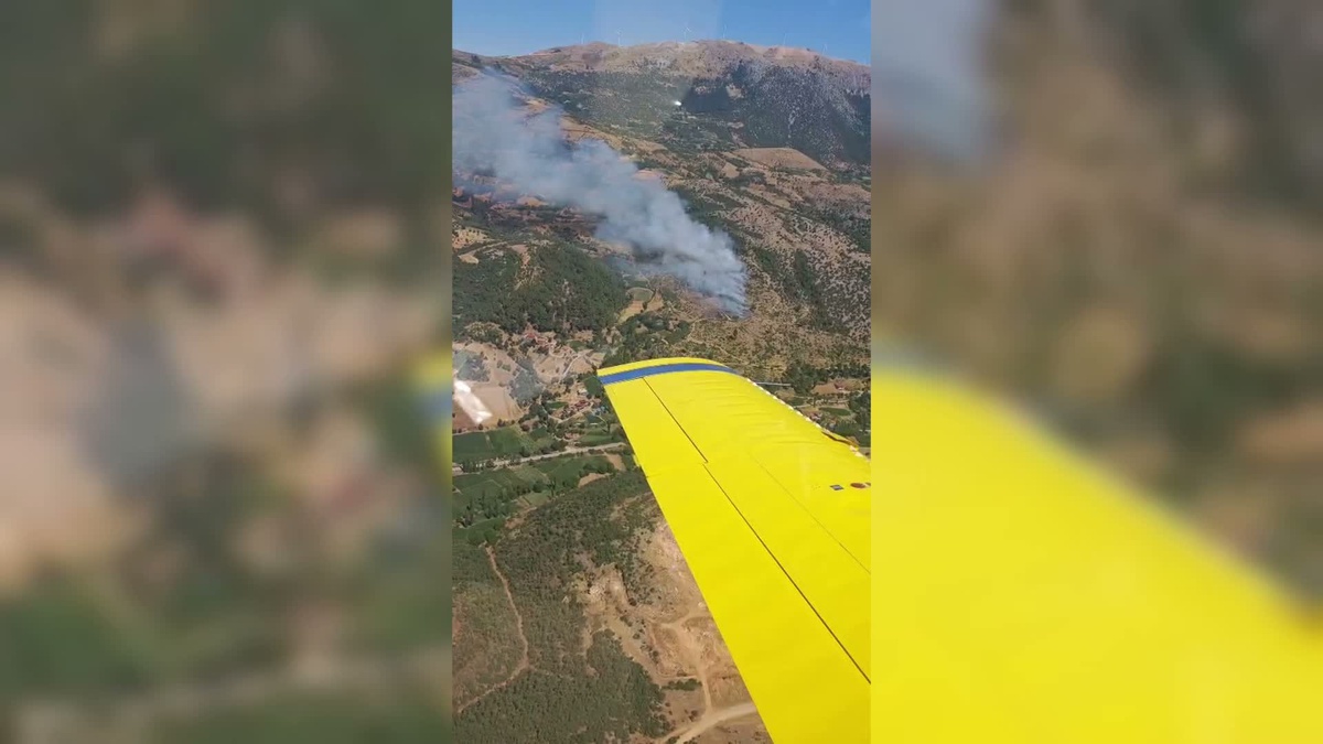 İzmir'de Ziraat Alanında Yangın
