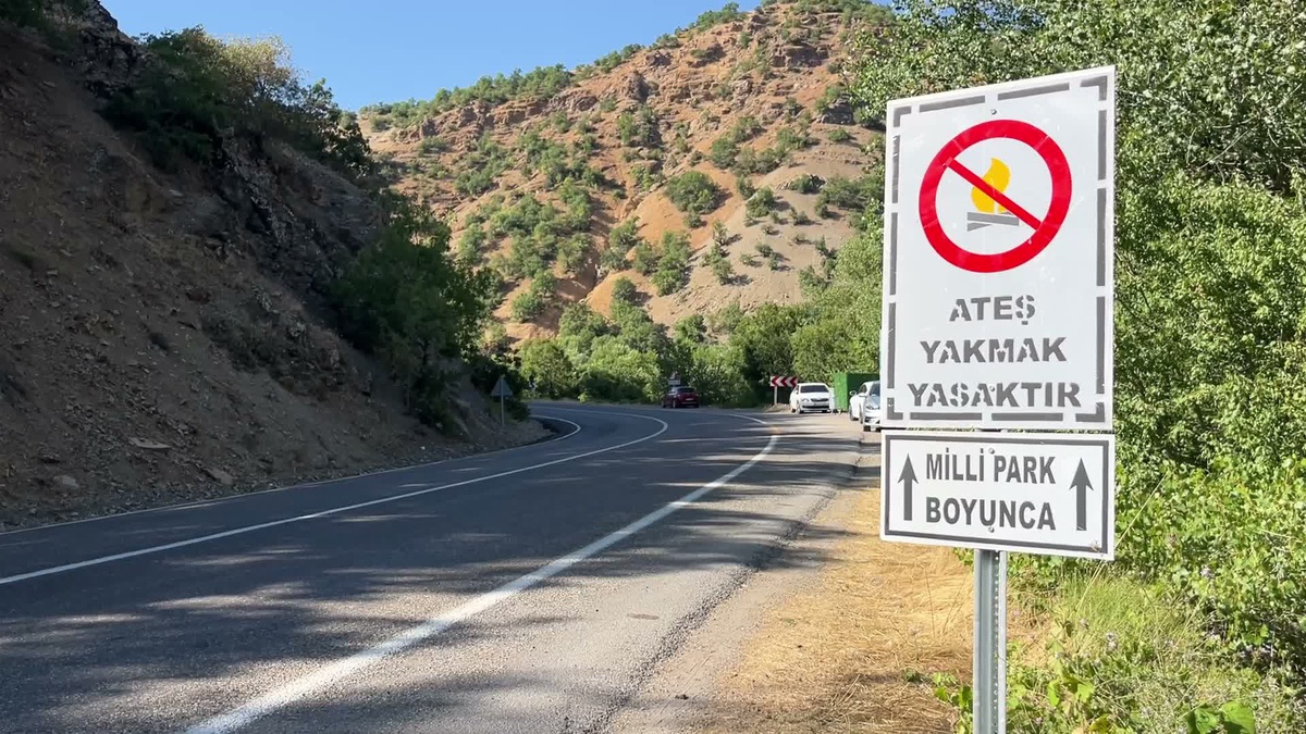 Munzur Vadisi'nde Ateşli Piknikler Yasaklara Rağmen Devam Ediyor