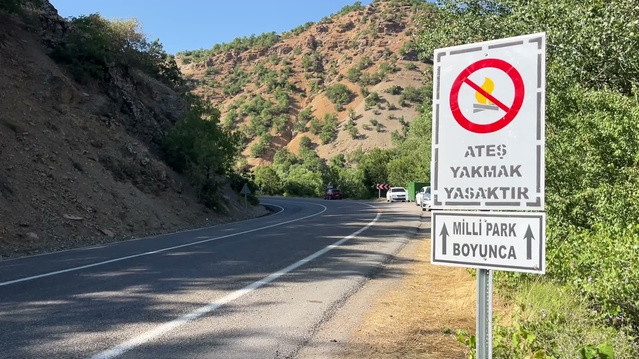 Munzur Vadisi'nde Ateşli Piknikler Yasaklara Rağmen Devam Ediyor