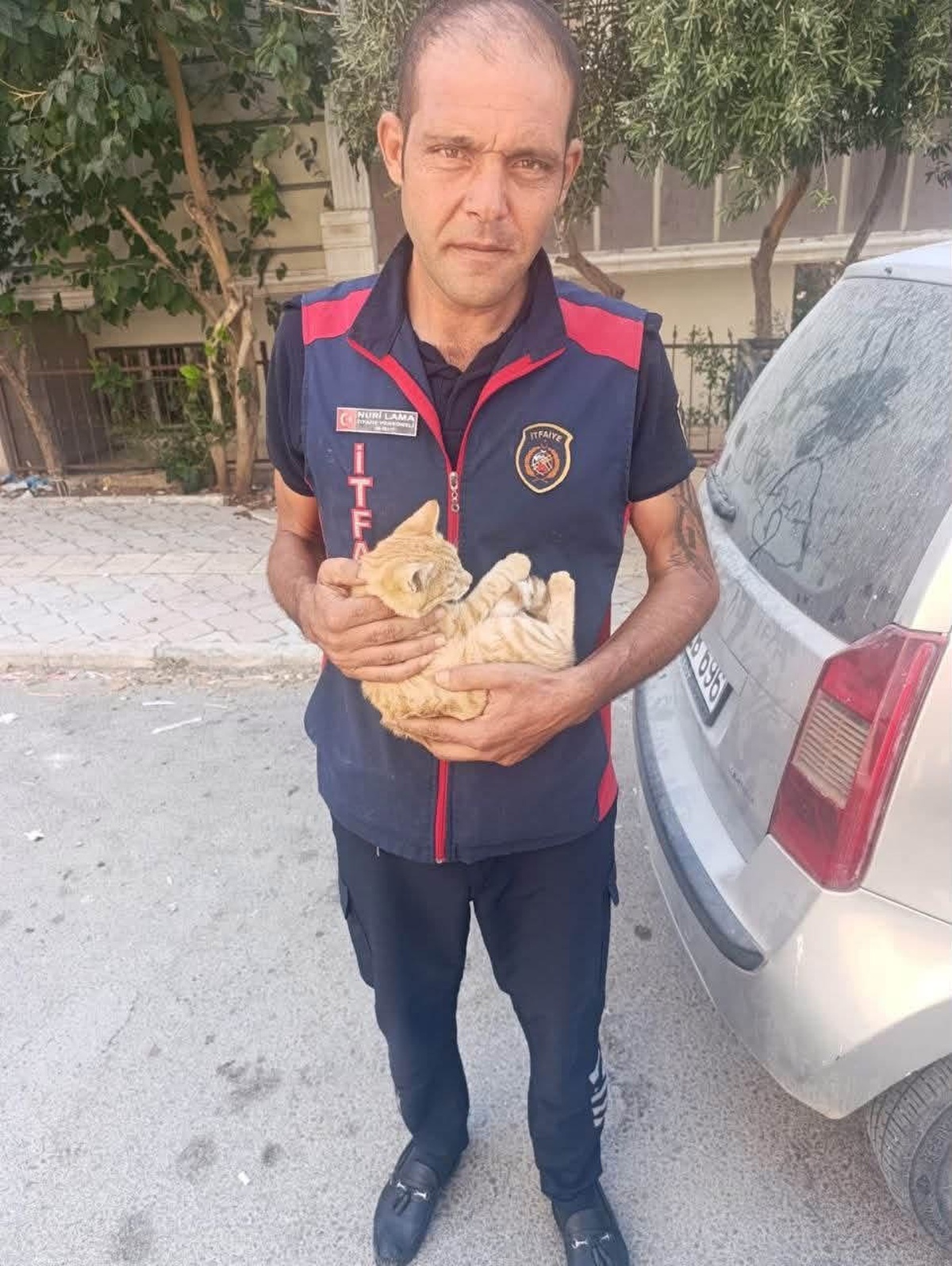 Mahsur Kediler Kurtarıldı