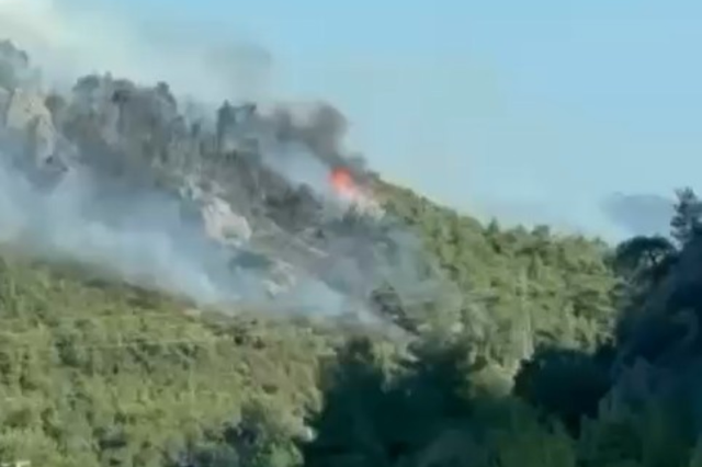 Uludağ eteklerinde 3 ayrı noktada orman yangını