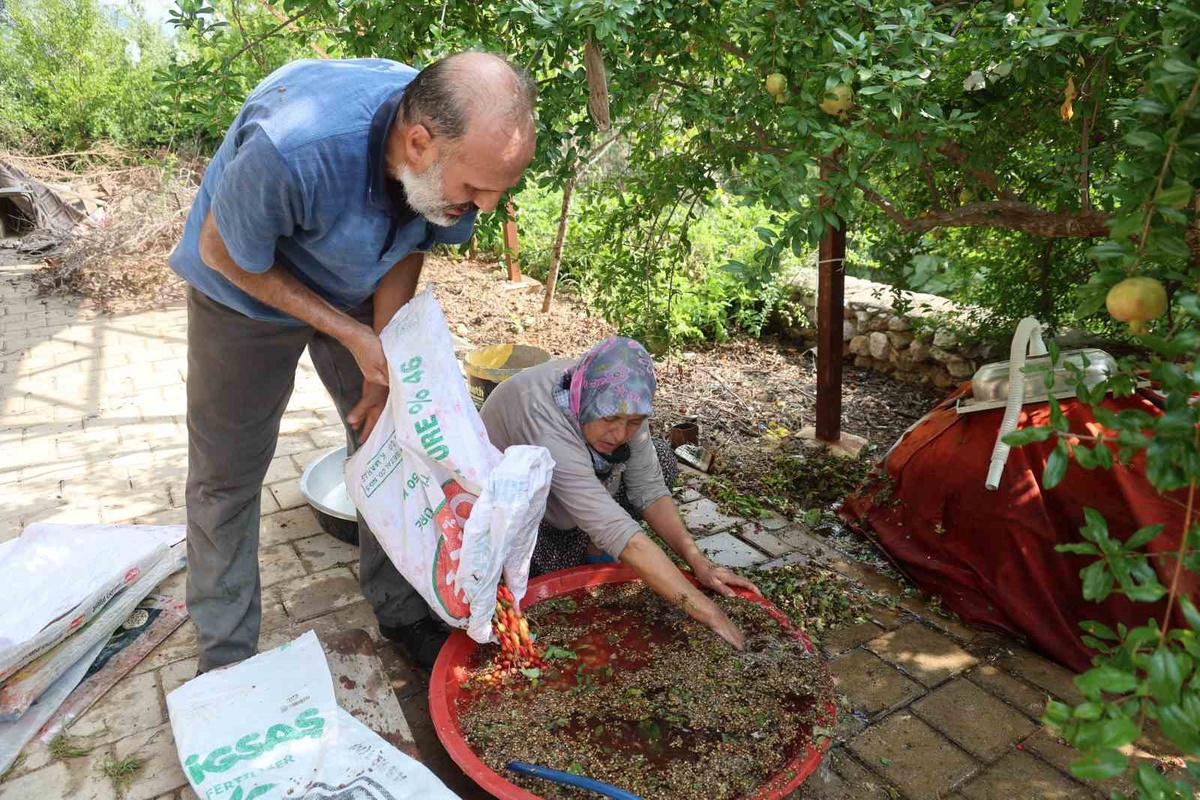 Kozan'da Geleneksel Kızılcık Şerbeti Yapımı