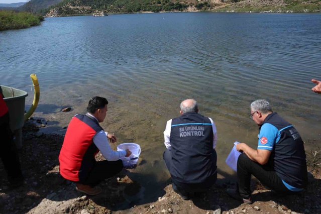 Çanakkale'de Sazan Balığı Salımı